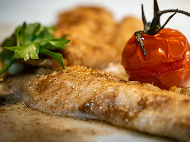 fisch-neu